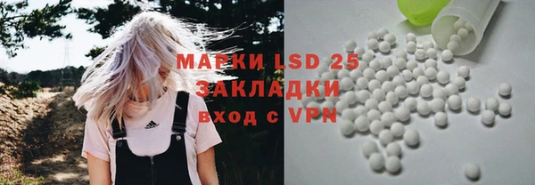 сатива Корсаков
