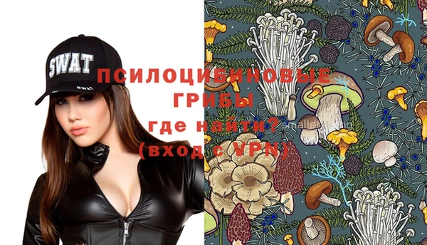 прущие крисы Коряжма