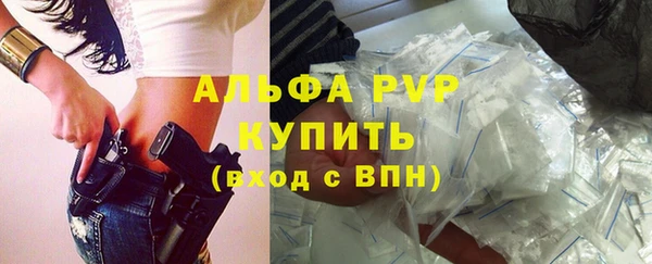 сатива Корсаков