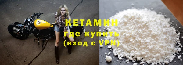 сатива Корсаков